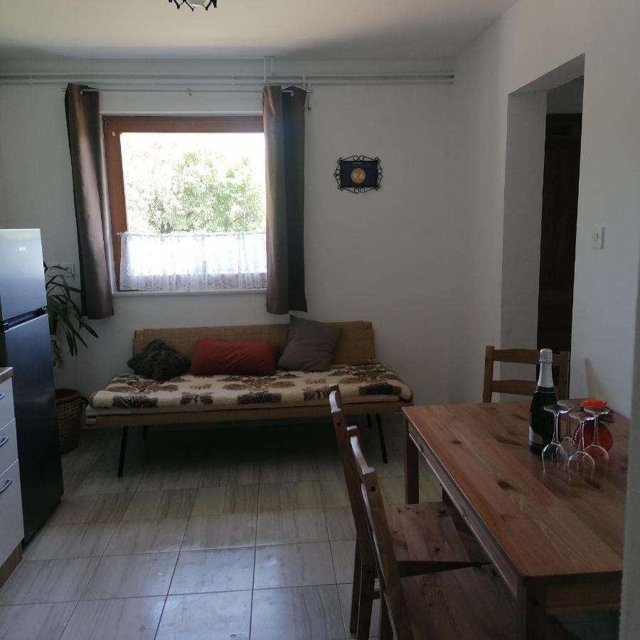 Apartmaji Borstner Vransko Zewnętrze zdjęcie