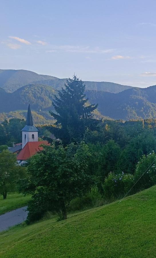 Apartmaji Borstner Vransko Zewnętrze zdjęcie