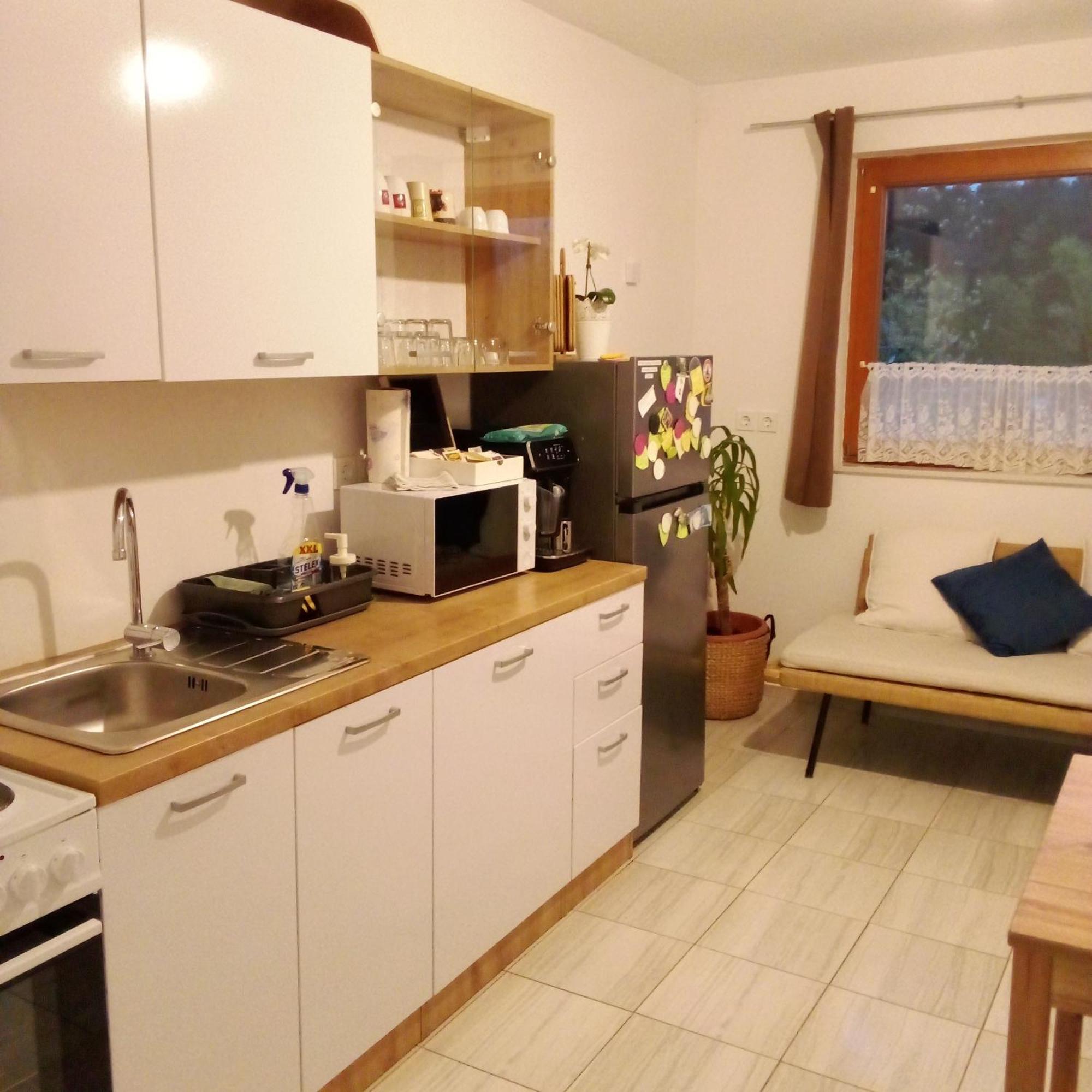 Apartmaji Borstner Vransko Zewnętrze zdjęcie